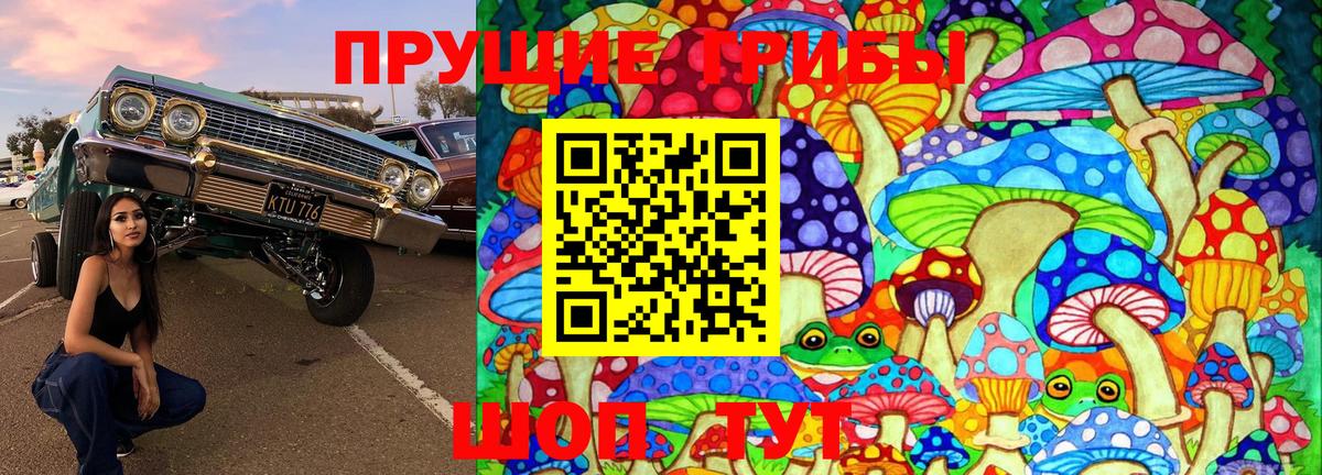 Галлюциногенные грибы ЛСД  Галлюциногенные грибы Cubensis  где найти наркотики  Лениногорск  Вход с VPN 